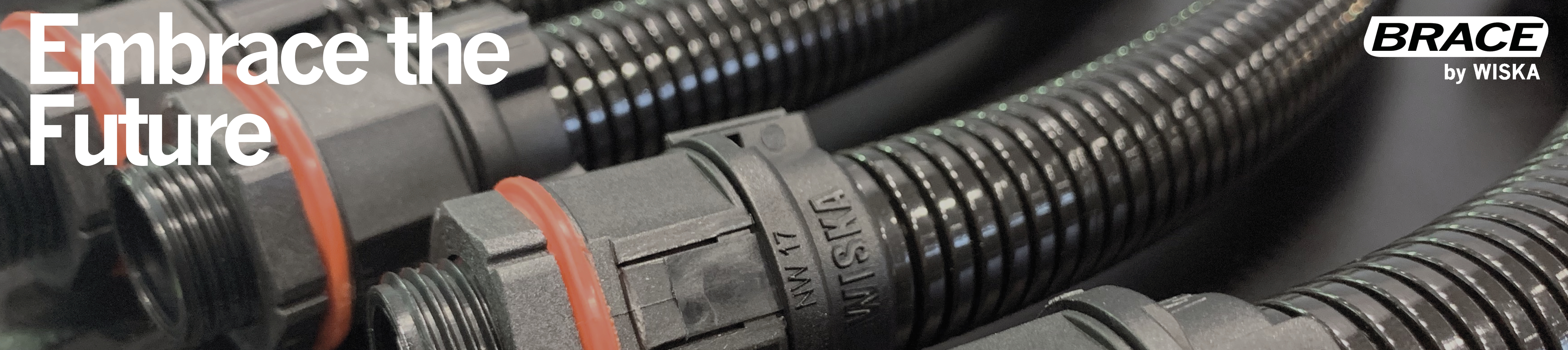 Brace promotion Banner